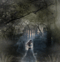 Someone in the mist