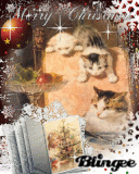 308xmas