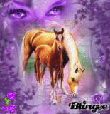 Purple Unicorn`World :D