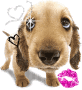 Hund