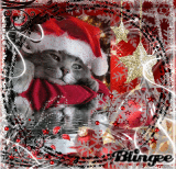 Mico Natale >.<