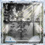SBW ~ Challenge 45  The Winter Sun