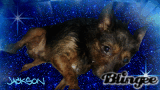 ptown_hoes_42069