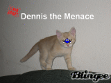 Dennis the MENACE
