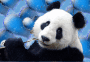 panda222