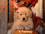Twilight Fantasy Banner
