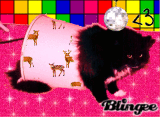 BINX AND DEER