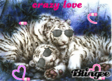 crazy tigre 