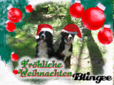 Karl und Kurt