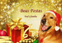 boas festas