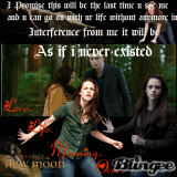 NEW MOON GOODBYE BELLA NEW MOON GOODBYE BELLA