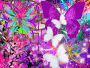 mariposas