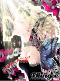 butterfly butterfly