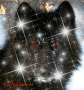 loup