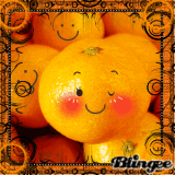 MANDARINEN 4 EVER *-*