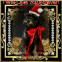 I Will Love You Forever! - by Maddi 