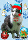 Weihnachtskatze