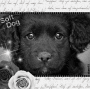 Soft Dog » Øяіgіиαℓ Bℓiиgєє by Aℓαиє15 