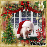 waiting for christmas