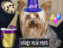 New Year
