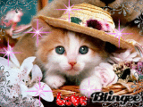 Zo Cute