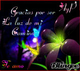 eres el amor de mi vida 
