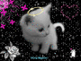 ChatOn...TrOp MignOn