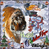 MERRY CHRISTMAS, HUGS MALUKUTIGER