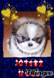 Merry Christmas, From Fluffy