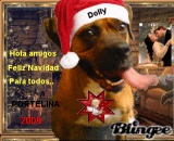 dolly