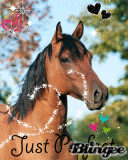 horse