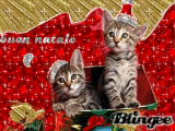 i gattini vi augurano un buon natale...