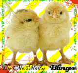 Chicks