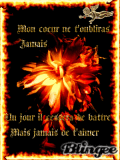 amour