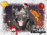 Yuko wünscht Merry Christmas!