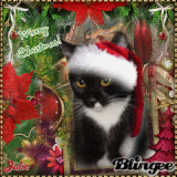 POLEE WISHES U A MERRY XMAS