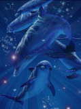 A TRUE STORY: THE DOLPHIN'S GIFT