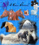 I love horses!!!