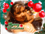 mari y navidad