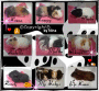 Meiiiine Babys ♥