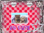 Süsse Baby Hund Süsse Baby Hund