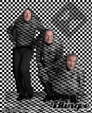 Hidden in plain site
