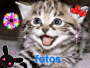 fotos