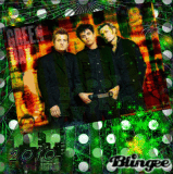 HAPPY NEW YEAR!!  GREEN DAY!!!