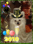 Feliz año del Chuki Feliz año del Chuki