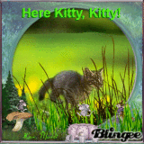 Here Kitty, Kitty!