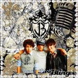 jonas brothers!!
