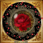 The rose