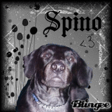 Il mio cane Spino by Tittuzza2901181 (Io) TADBXS SPINO!