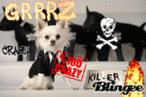 Killerz
